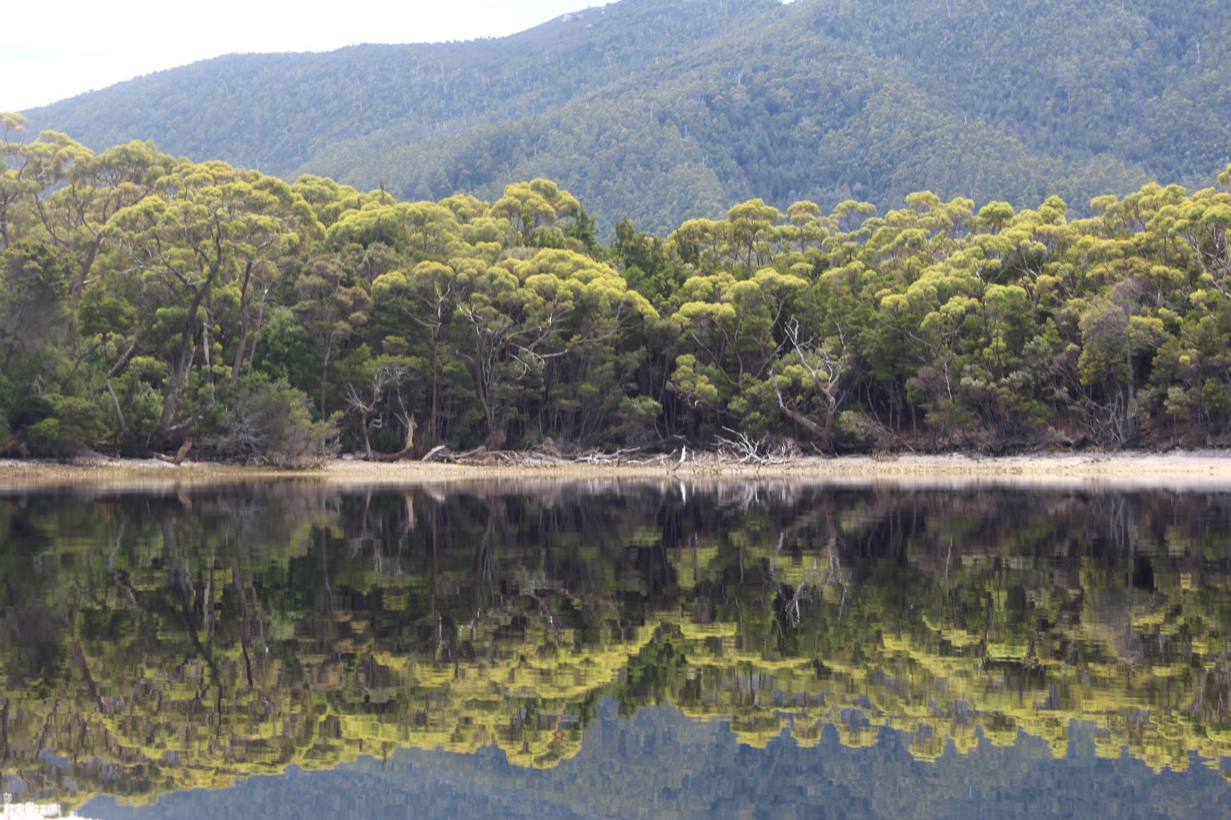 Name: Natalia. Prize: First. This is a photo of an island and its reflection. It displays geometry in the form of symmetry where the island and its reflection becomes exactly like another when you fold it.